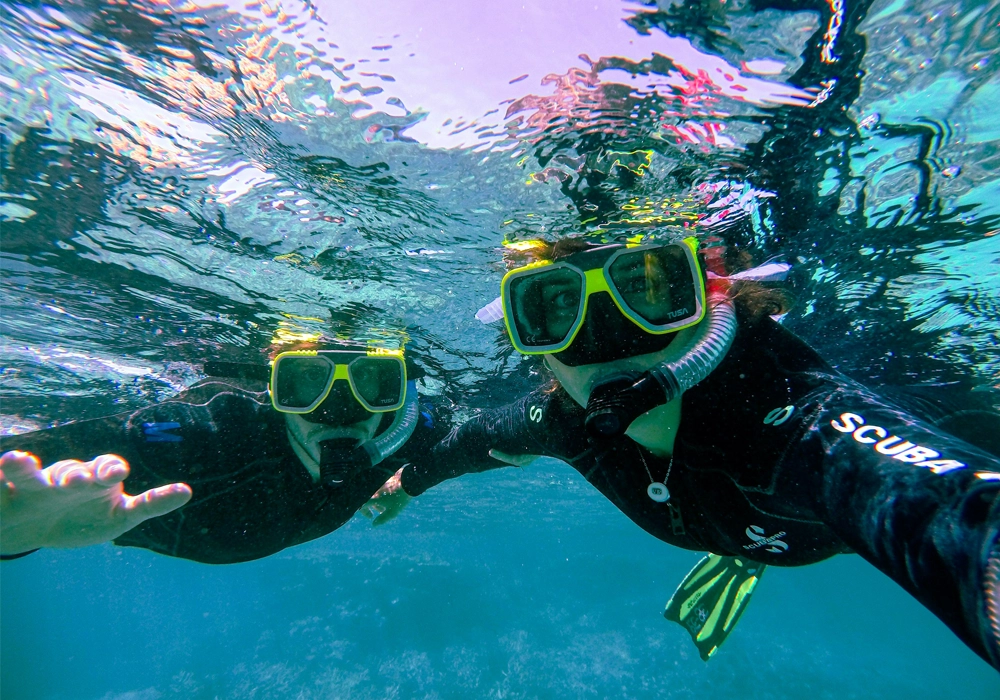 Coral Reef Snorkeling Tour