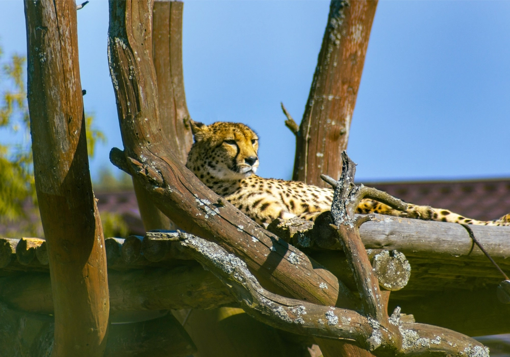 Wildlife Sanctuary Visit