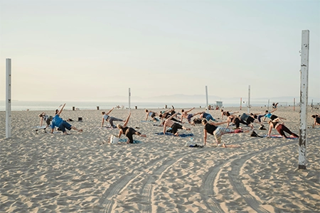 Wellness Programs
